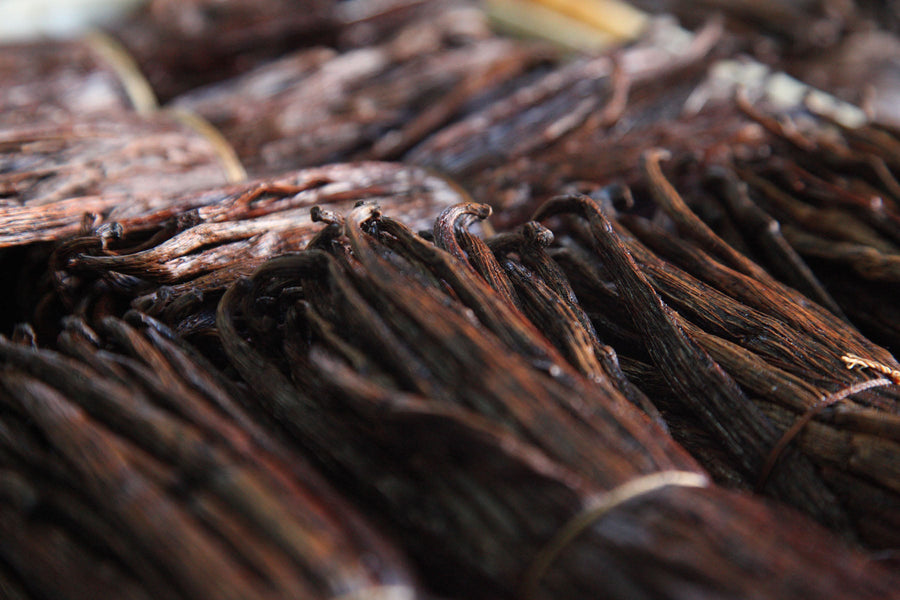 Madagascar Vanilla: The exceptional ingredient at the heart of Vanille Carbone